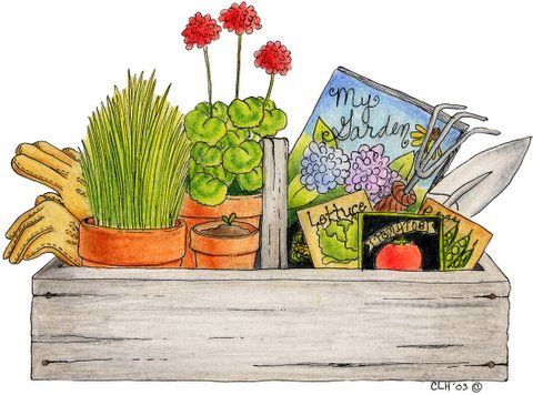 Belcarra Garden Club